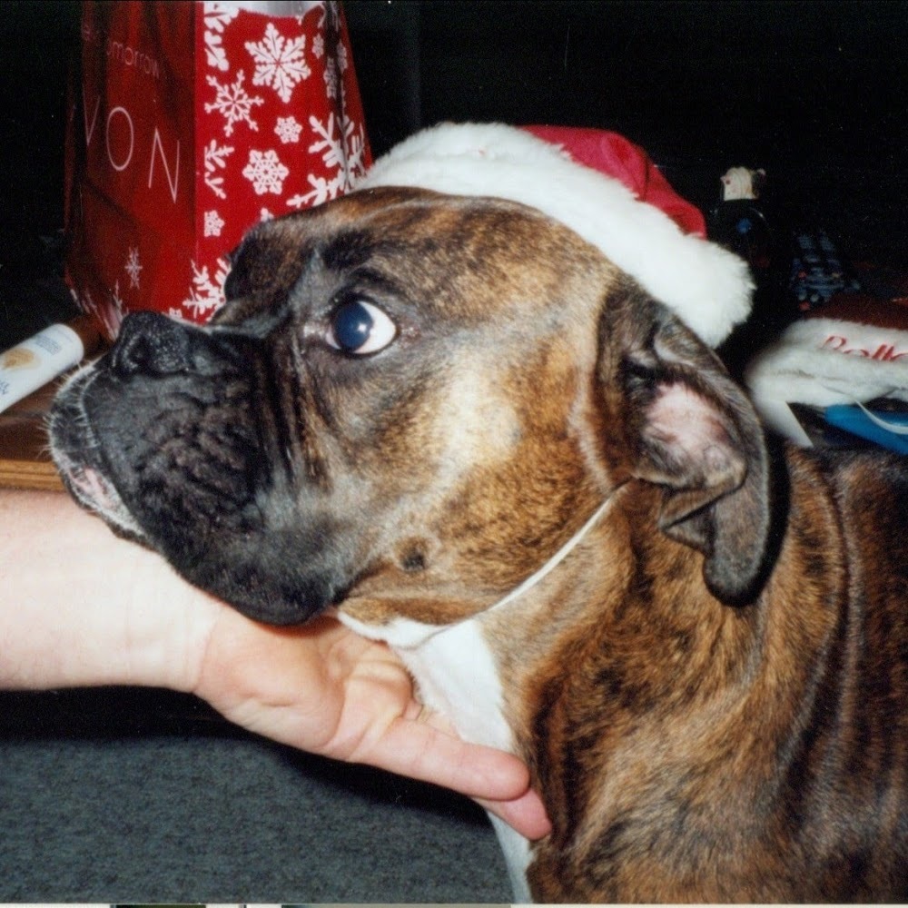 Meet your Posher, Robin